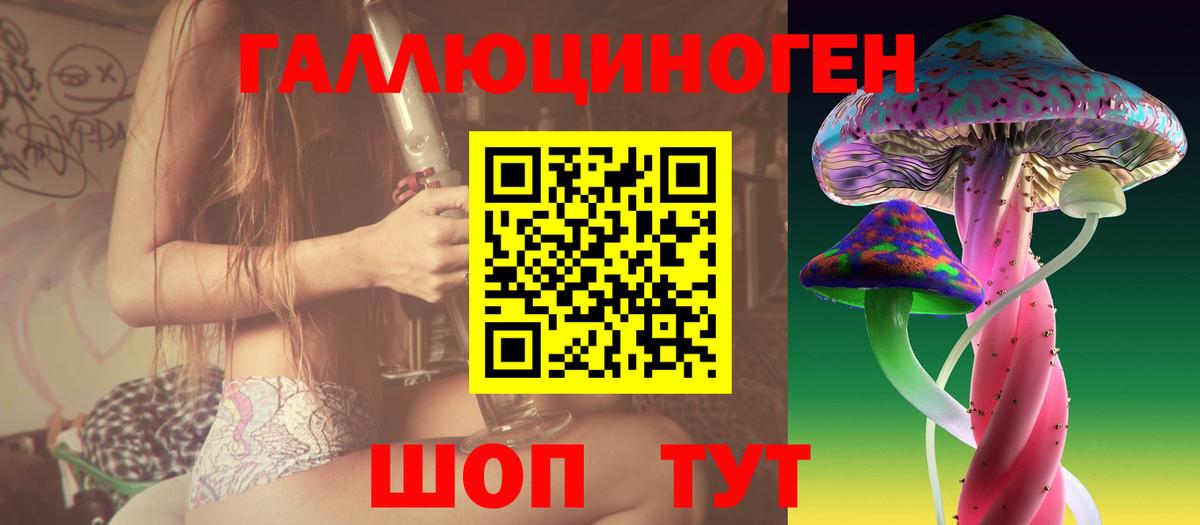 Псилоцибиновые грибы мицелий  Вход с VPN  Галлюциногенные грибы GOLDEN TEACHER  Щёлково 
